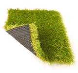Rubber grass